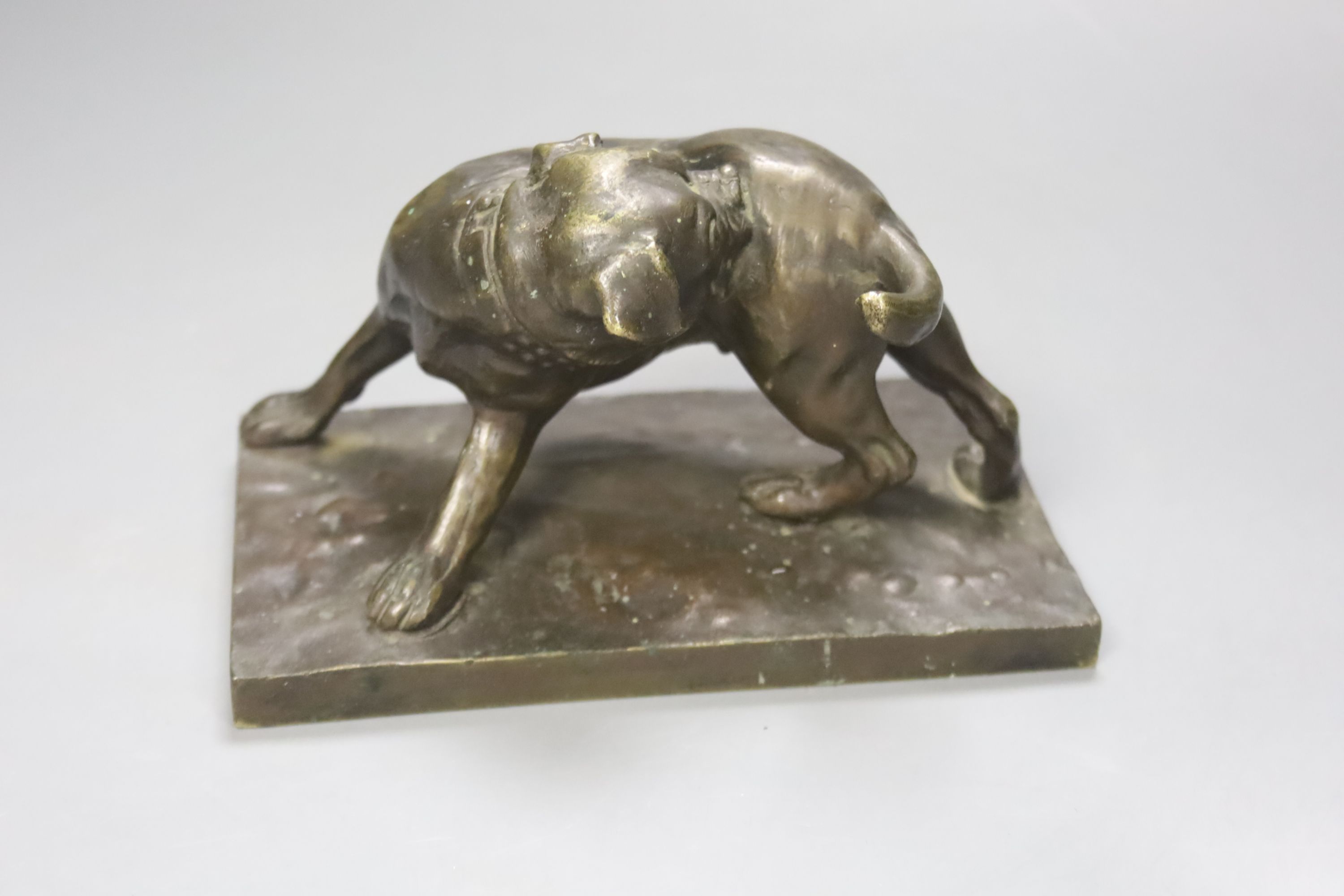 A late 19th / early 20th century bronze study of a dog, 8cm high